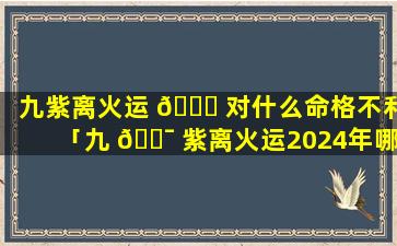 九紫离火运 🕊 对什么命格不利「九 🐯 紫离火运2024年哪一天开始」